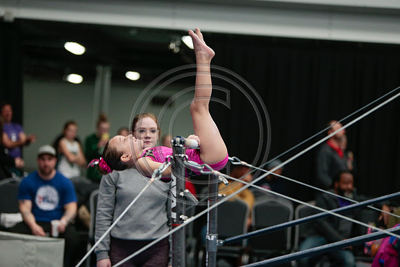 _81_3694
