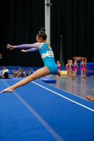 Harmony C