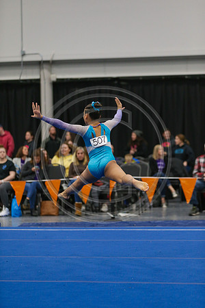 jjms3034