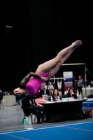 _60l0179