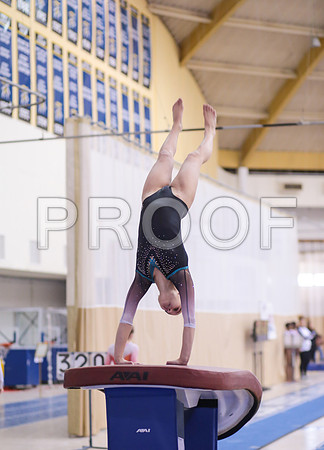 j3681003