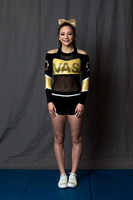 Vipers 1 - Toxic/Poison - Caryn Barshinger