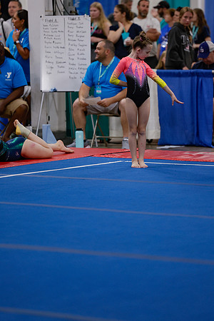 _MS_0011 (2)