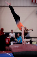 Lanie B