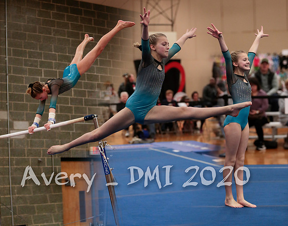 Avery L - DMI 2020