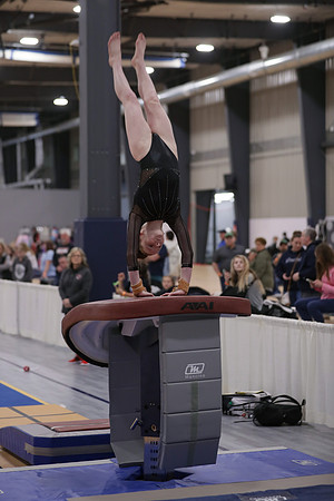 JMS_7384