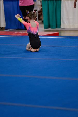 _MS_0039 (2)