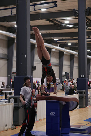 JMS_8175
