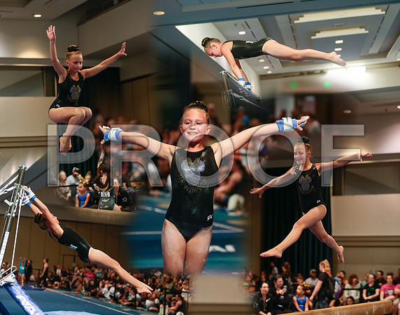 LCcollage