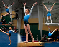 MHcollage2