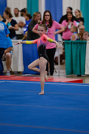_MS_0046 (2)