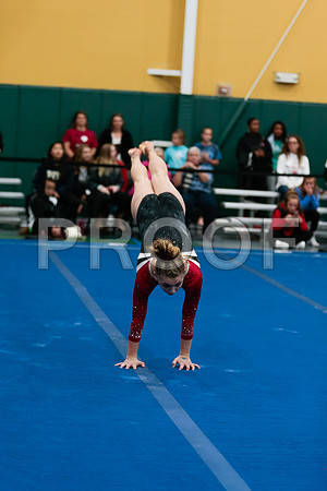 Paige Leitzel_60_0593