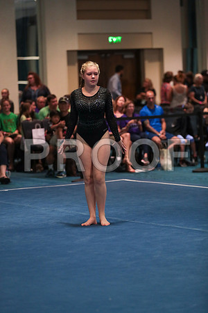 ag1i7338
