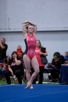 Abigale H