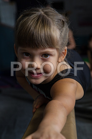 _72_3168