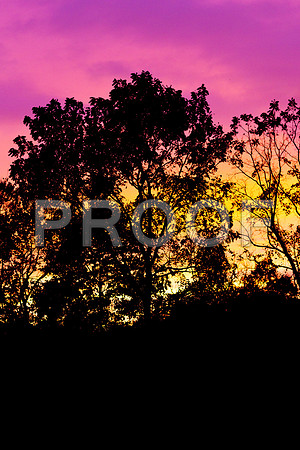 GY Night Sky