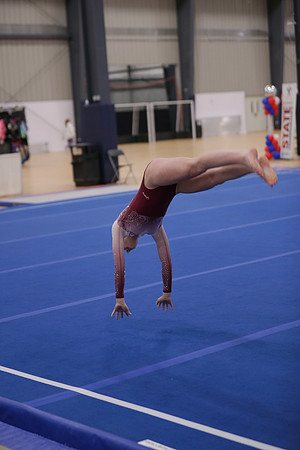JMS_2528