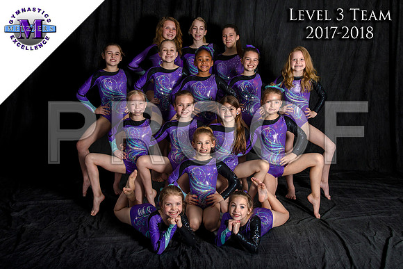 Level 3 team - logo