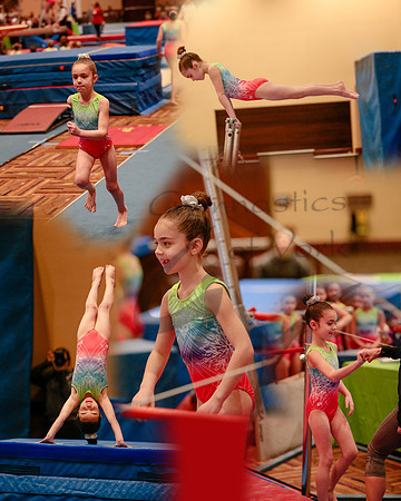 TMcollage