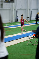 Tessa N
