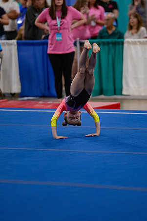 _MS_0033 (2)