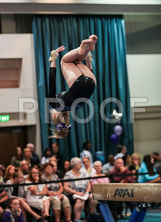 x61_3575