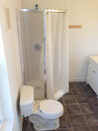 Master Bath Shower