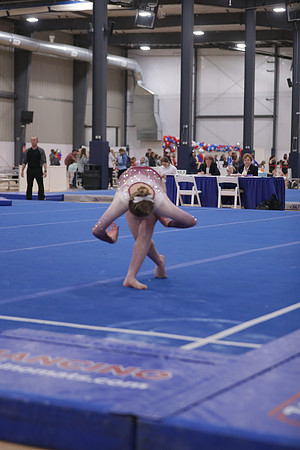 JMS_9551