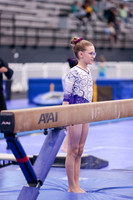 Lyla S Beam, Bar, Vault