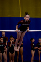 Saylor C