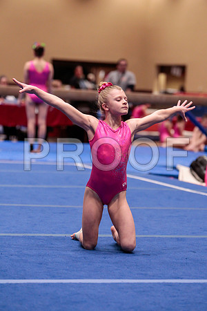 _13g2010