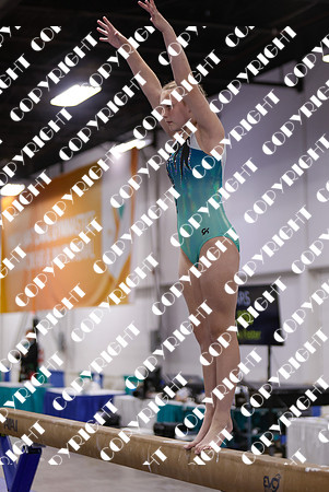 _29A0046