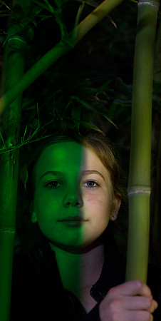 Abbie Green Light