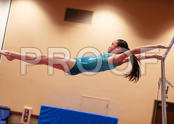 _60_0166