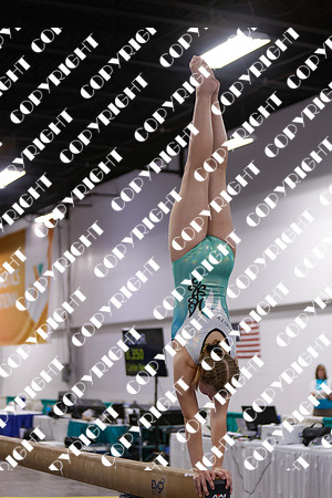 _29A0084