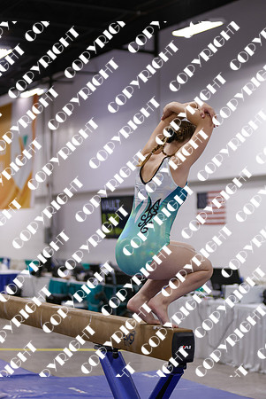 _29A0101