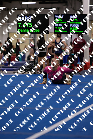 _12A0013 (2)