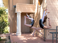 _61_1515 Stag leap