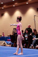 _13g5566