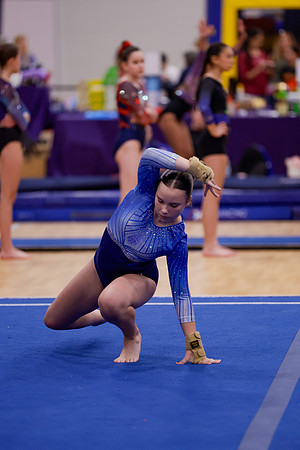 _ALD0015