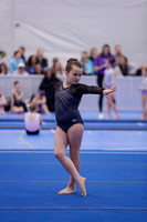Morgan B