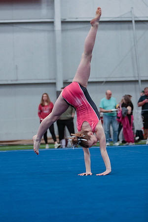 _60L0082