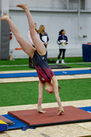 Colette K