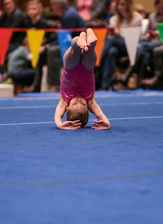 j3689126
