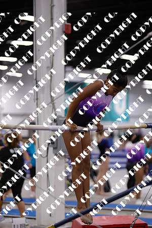 _29A0027