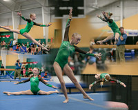 EBcollage