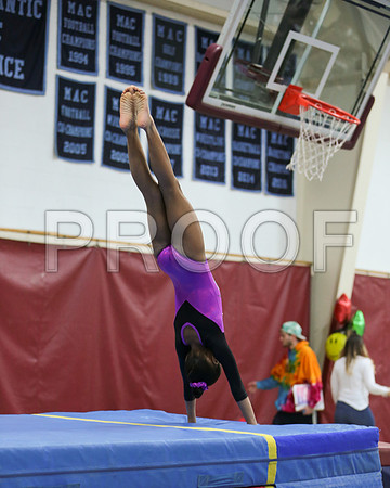 j3689113
