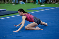 Emily B