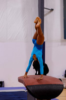Anisa M