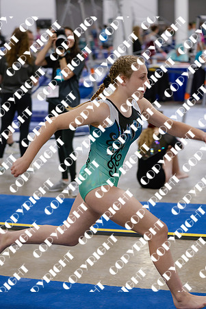 _MS_0012